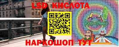 СК Гусев