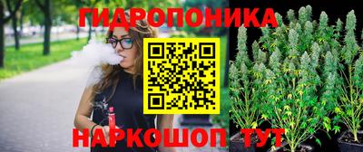 СК Гусев