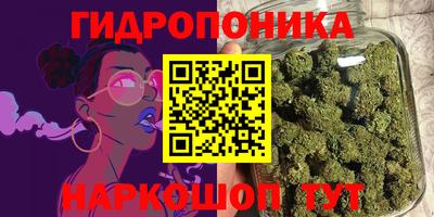 трава Гусь-Хрустальный