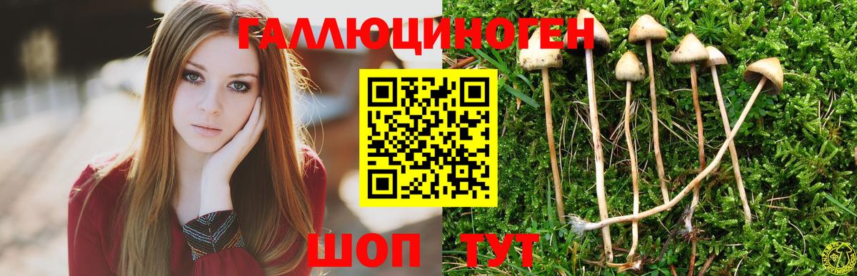 Псилоцибиновые грибы мицелий Люберцы
